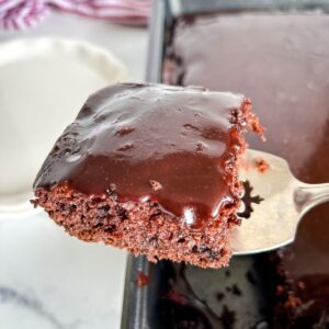 A slice of chocolate cake.