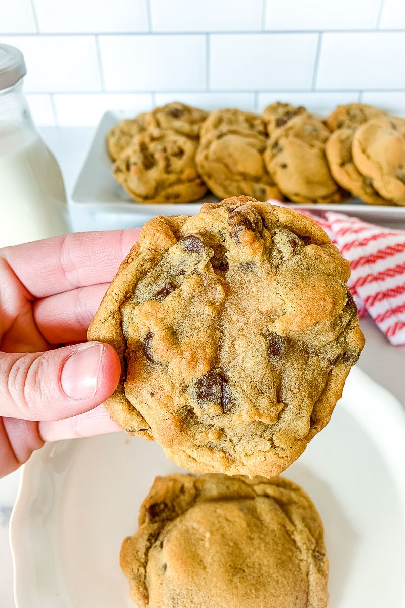 A piece of chocolate chip cookie.