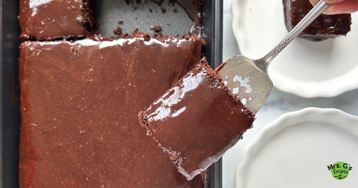 A slice of chocolate cake.